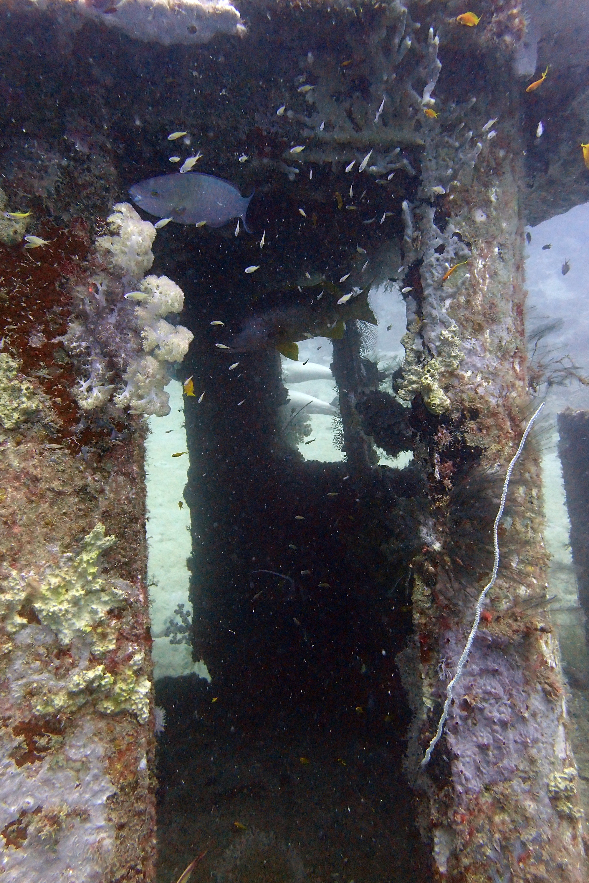 Mitsio Wreck, Madagascar