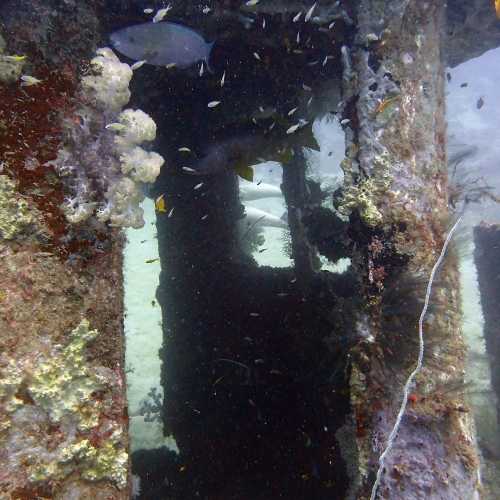 Mitsio Wreck, Madagascar