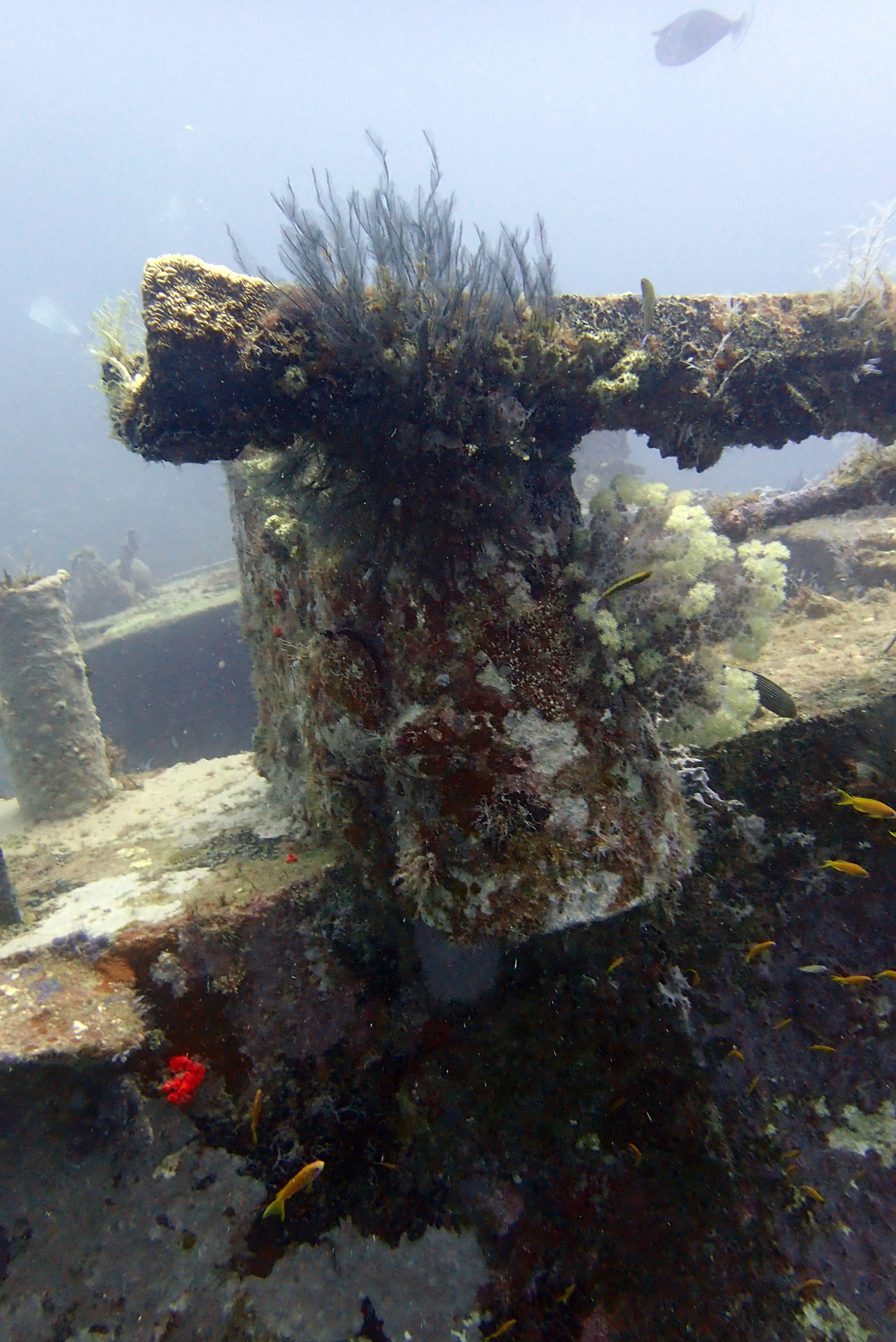 Mitsio Wreck, Madagascar