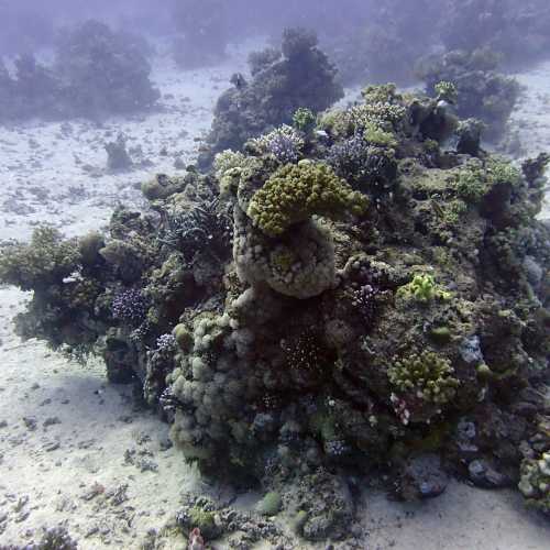 Rocky Island, Egypt