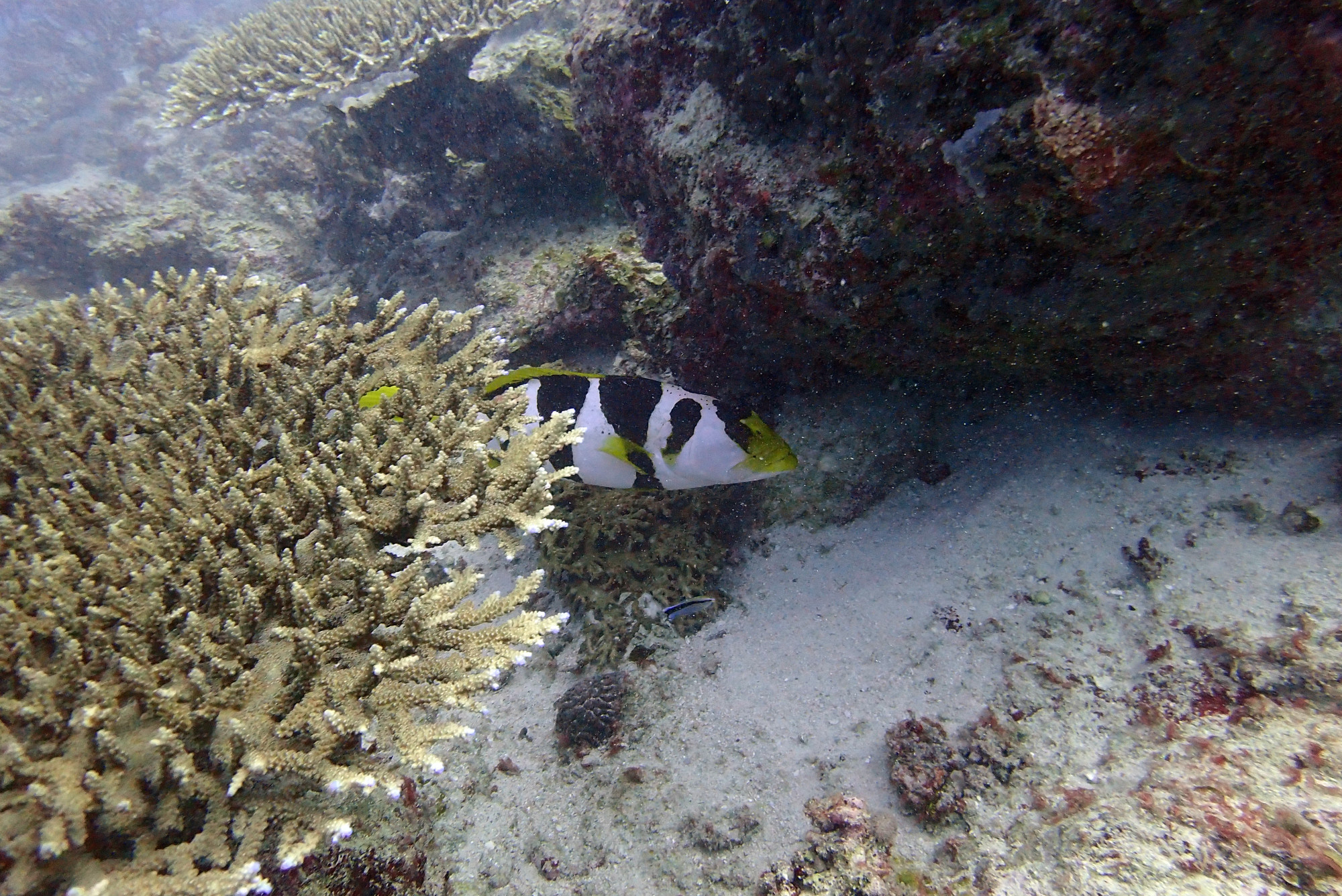 Radames Archipelago, Madagascar