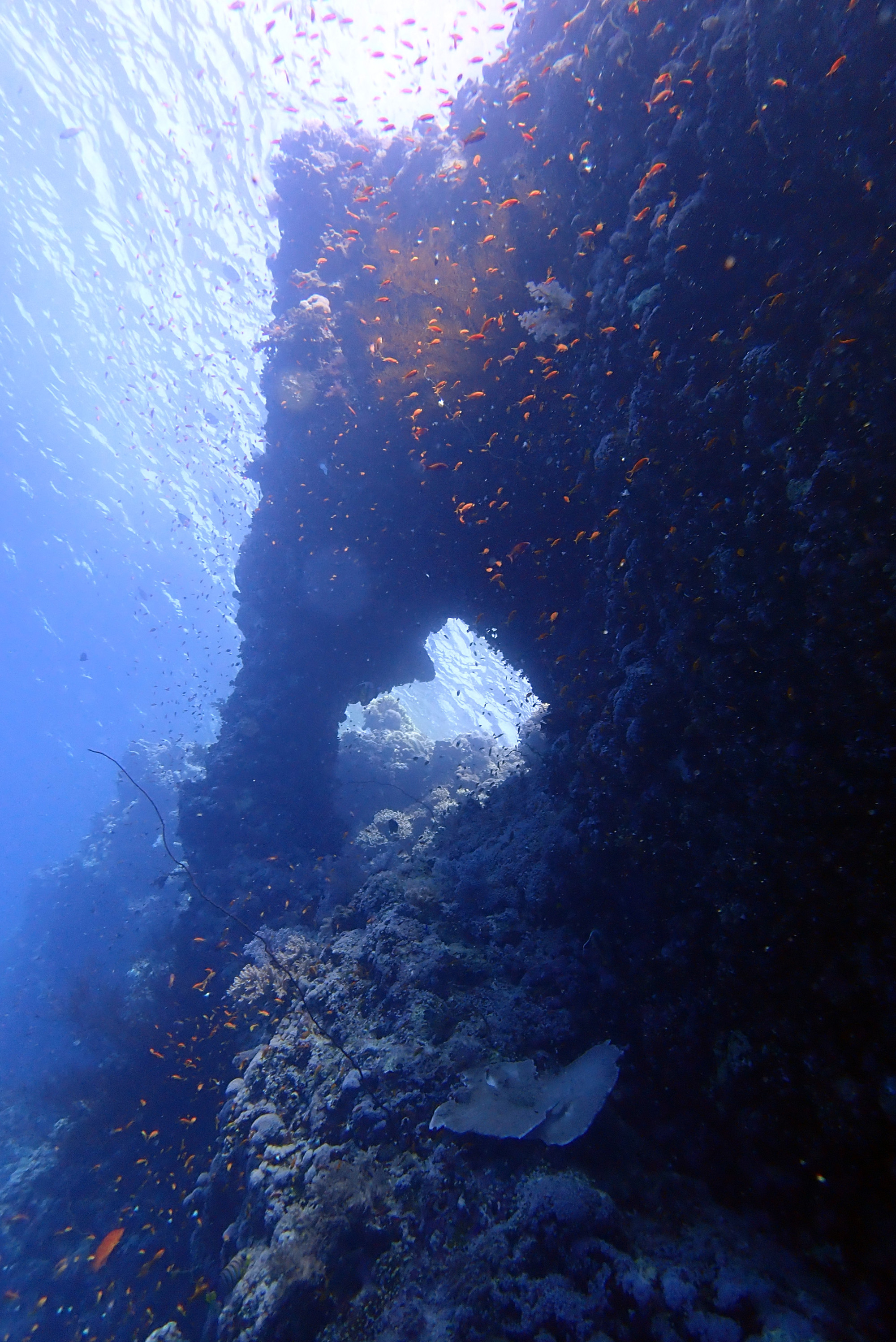 Zabargad Island, Egypt