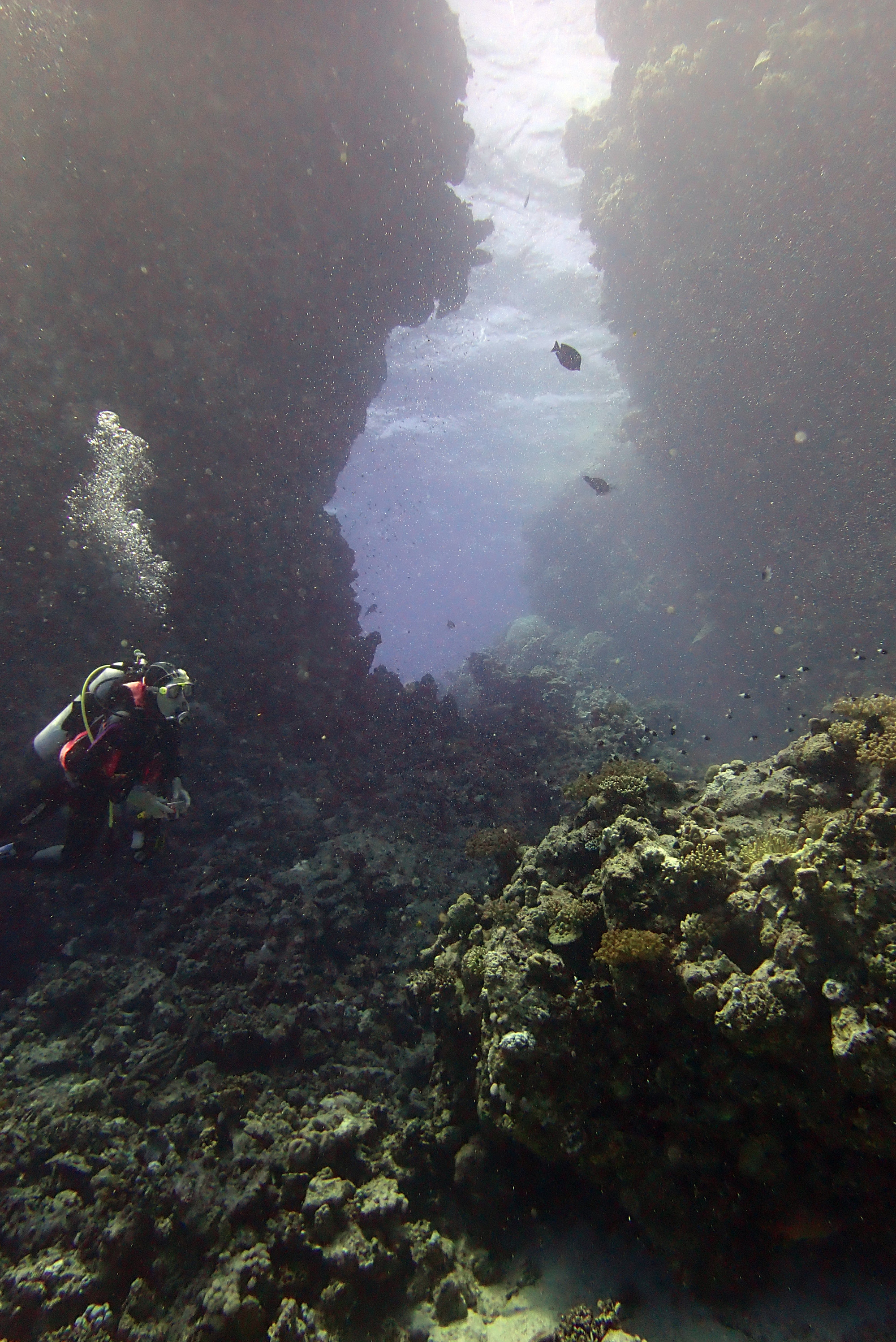 Small Abu Galawa, Egypt