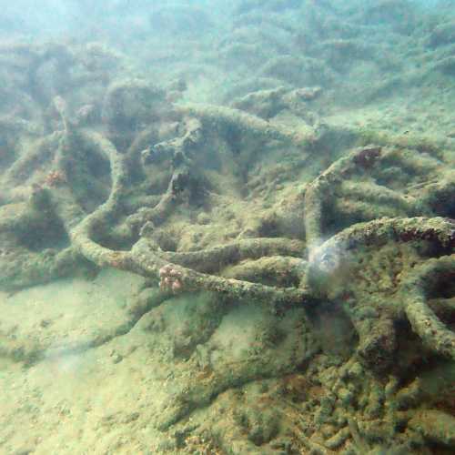Submarine Nets now artificial reef