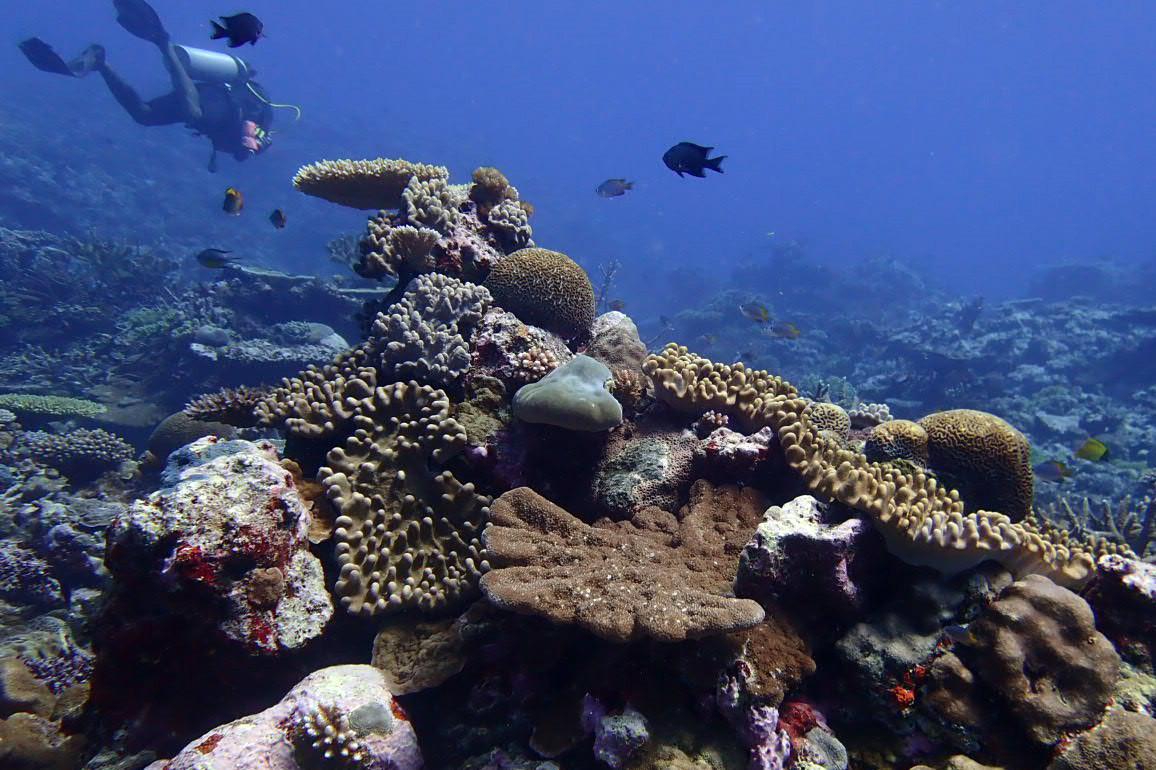 Tutaba, Vanuatu