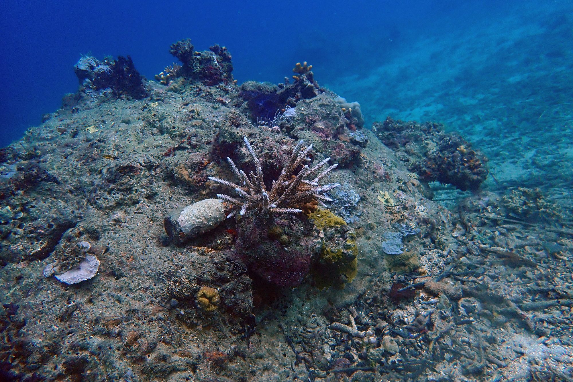 SBD Dauntless Dive Bomber, Vanuatu