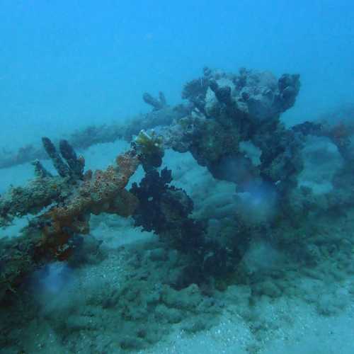 Submarine Nets now artificial reef