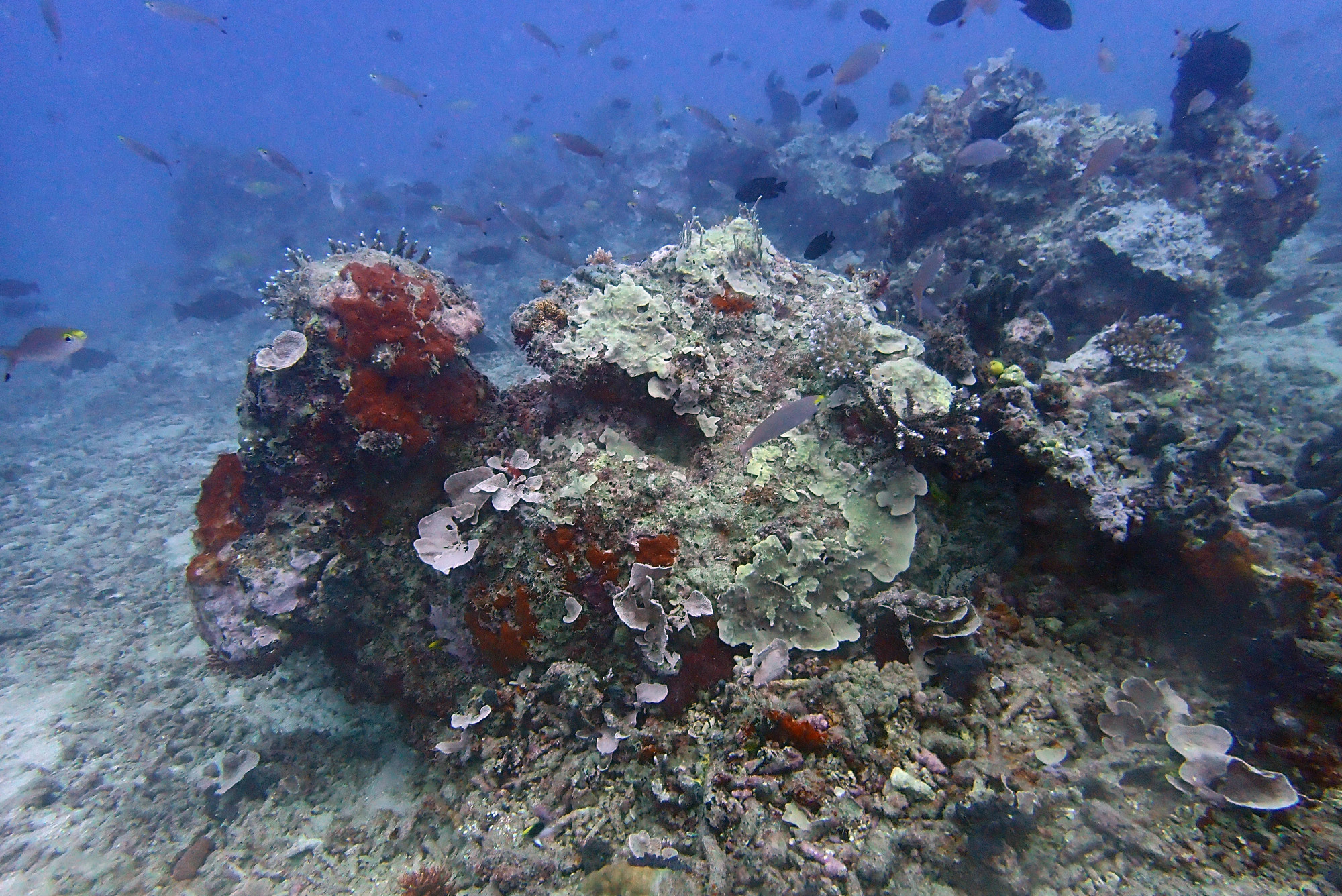 Submarine Nets, Vanuatu