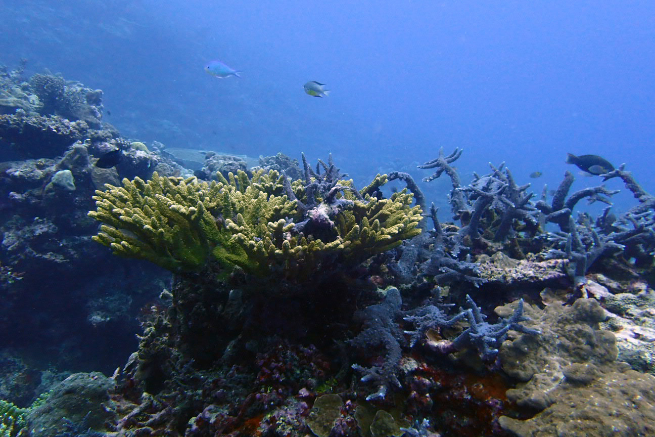 Tutaba, Vanuatu