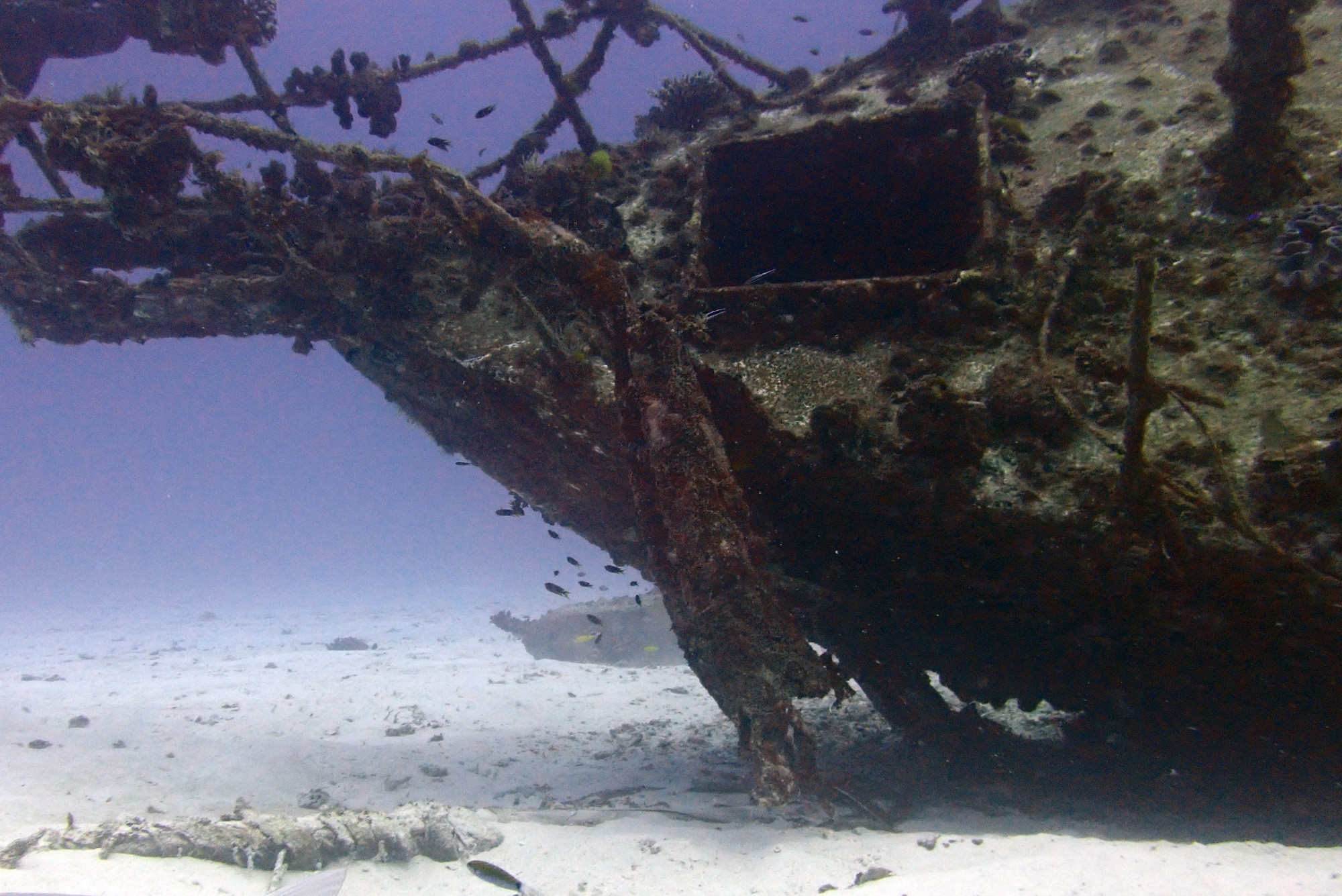 Severence Wreck, Австралия