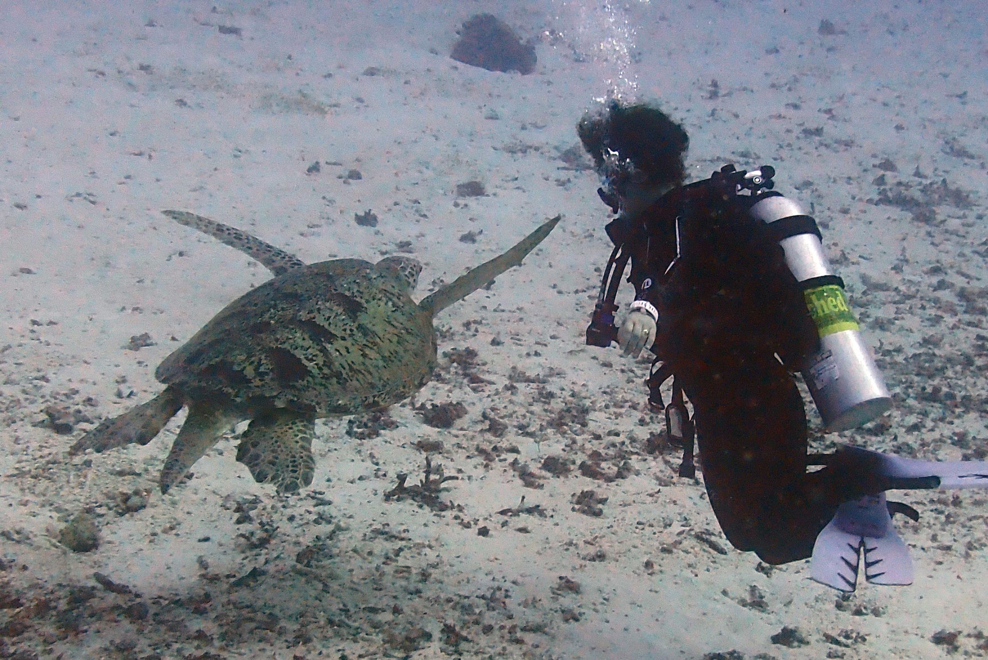 Severence Wreck, Австралия