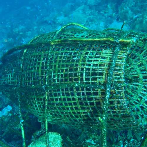 Fishing Basket