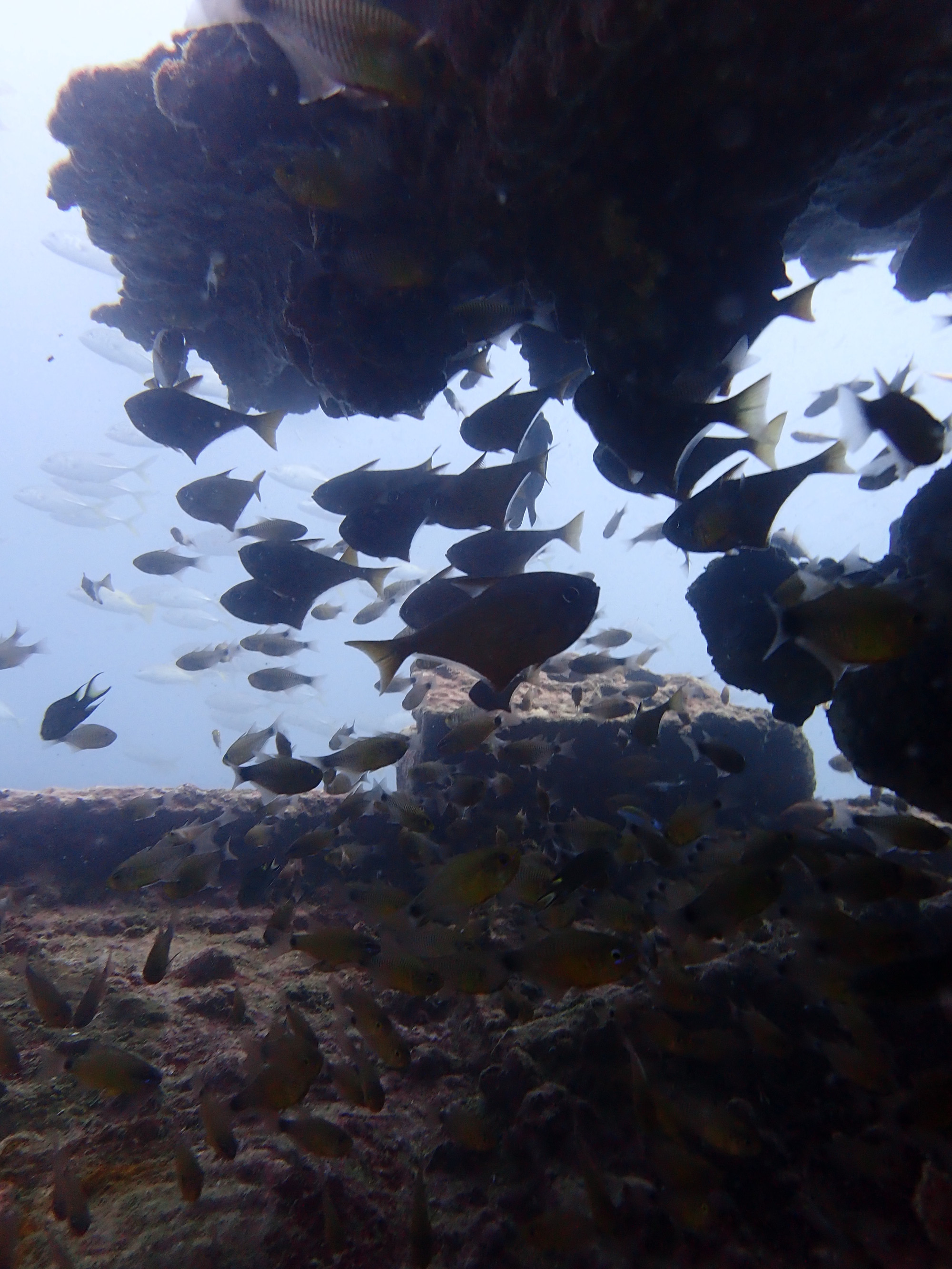 Boonsung Wreck, Thailand