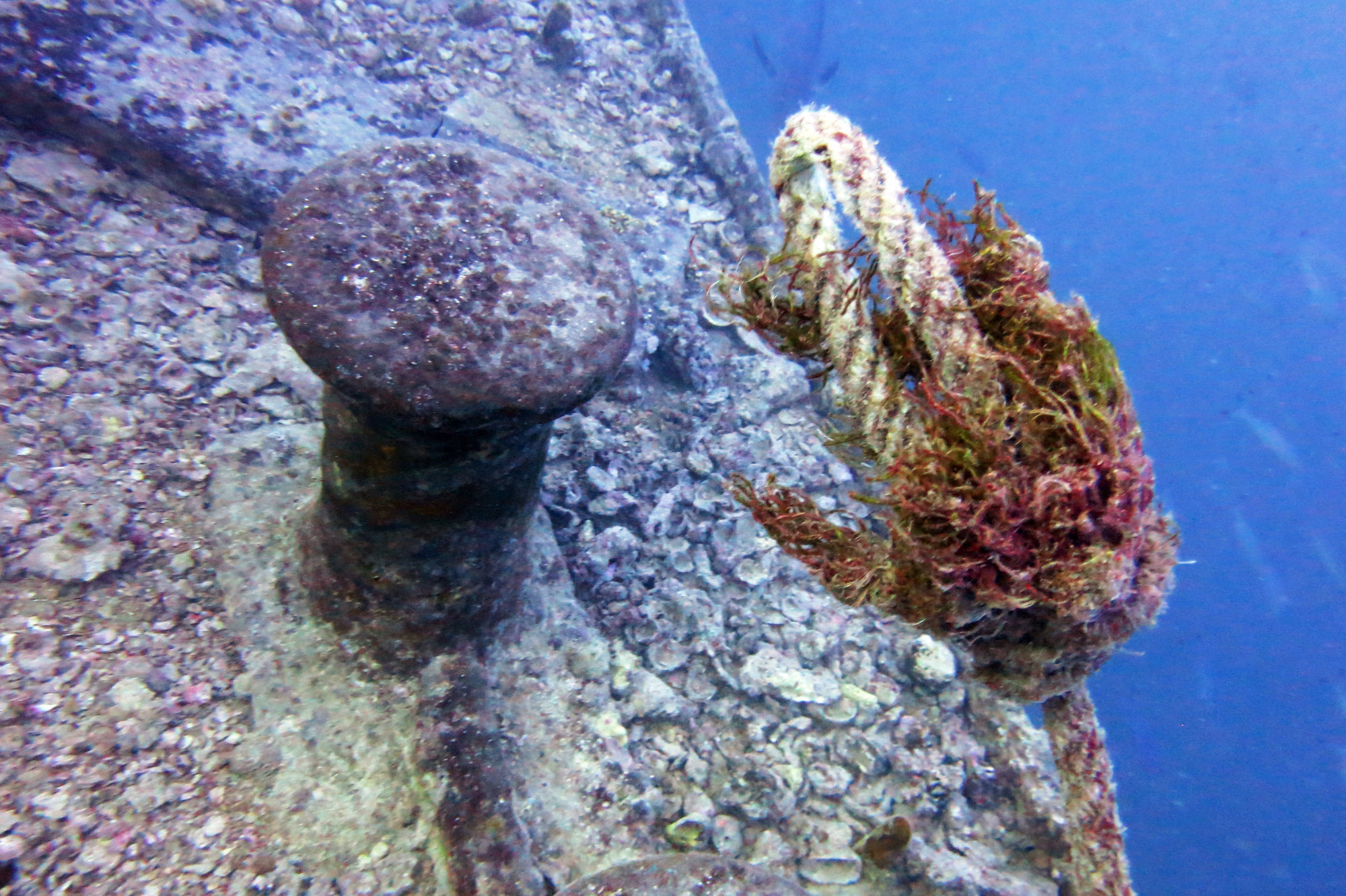 Thistlegorm Wreck, Египет