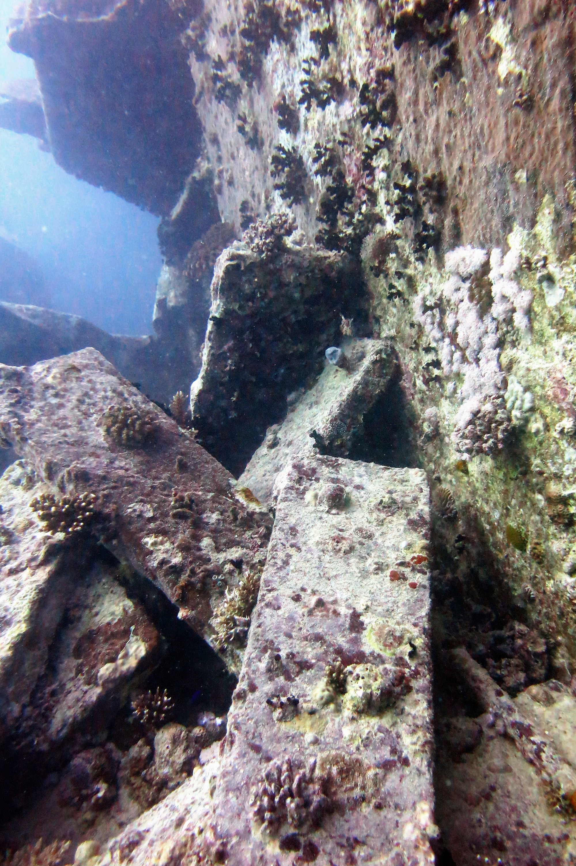 Thistlegorm Wreck, Египет