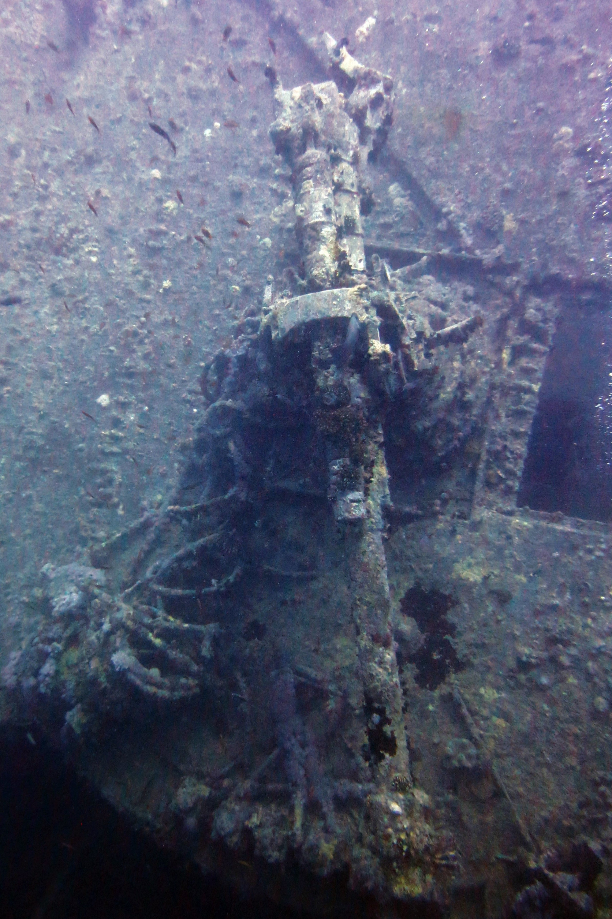 Thistlegorm Wreck, Египет