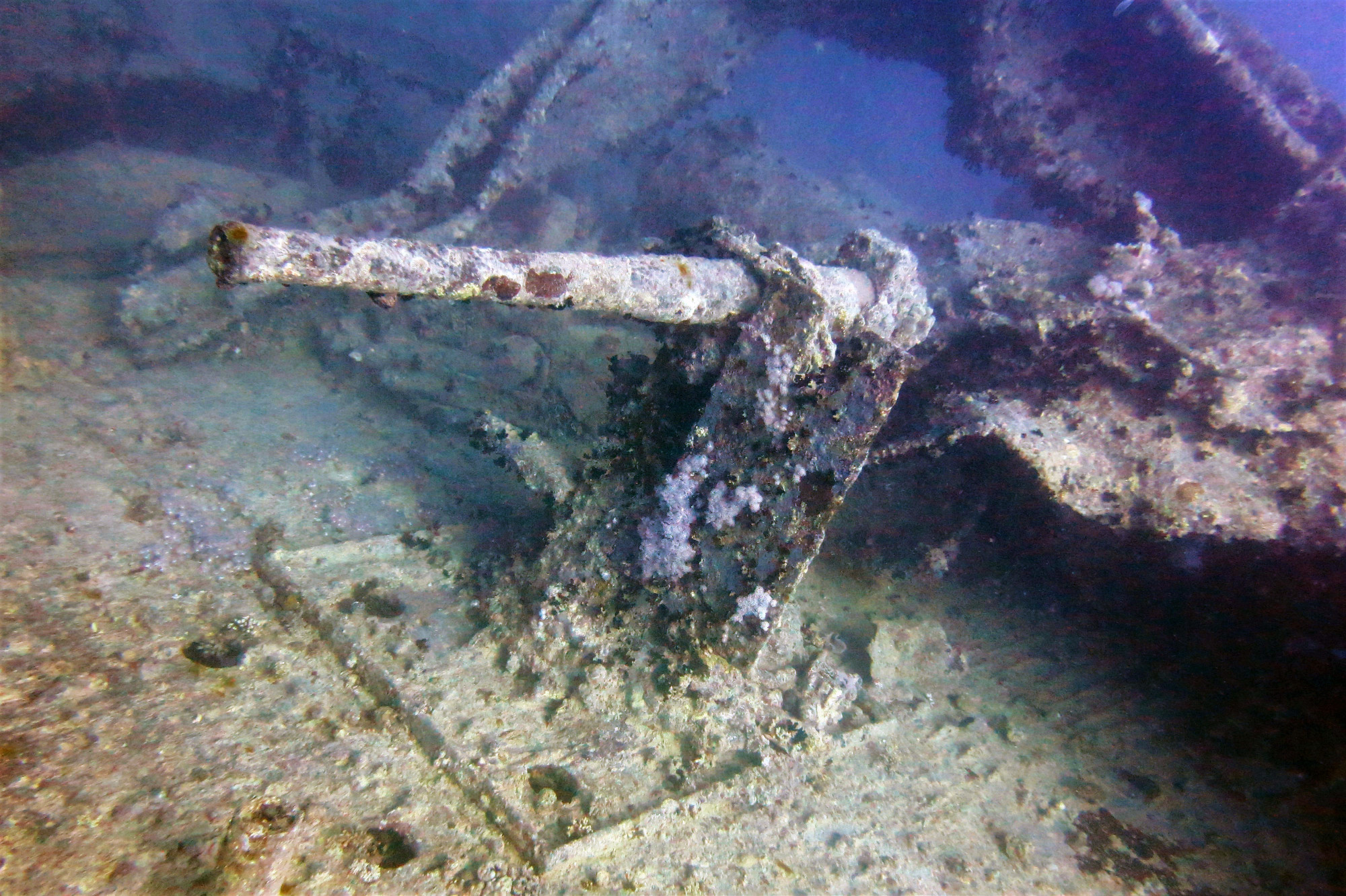 Thistlegorm Wreck, Египет