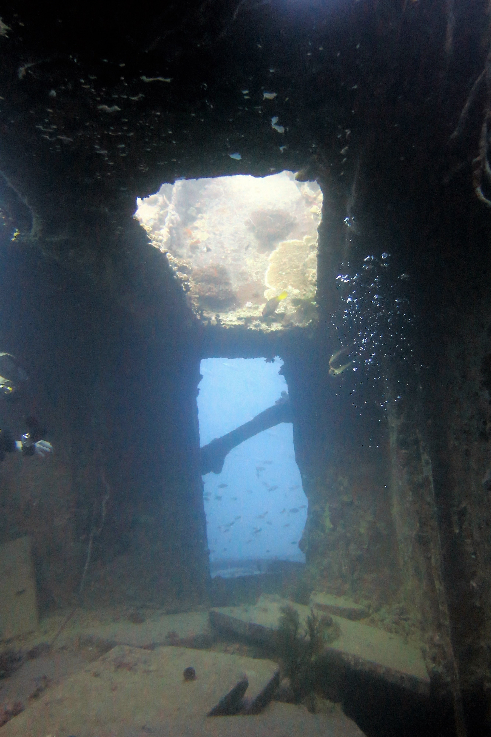 Thistlegorm Wreck, Египет