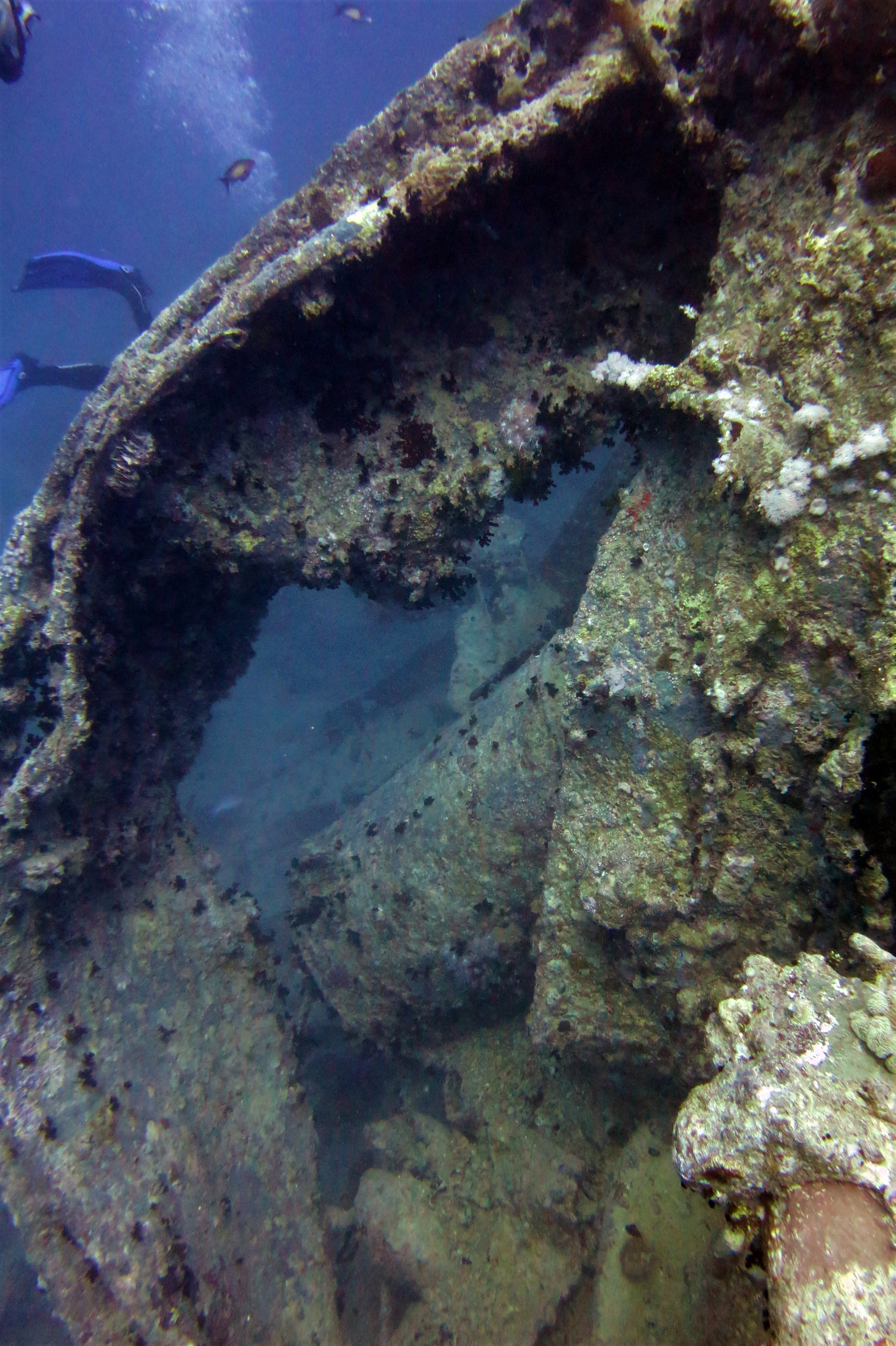 Thistlegorm Wreck, Египет