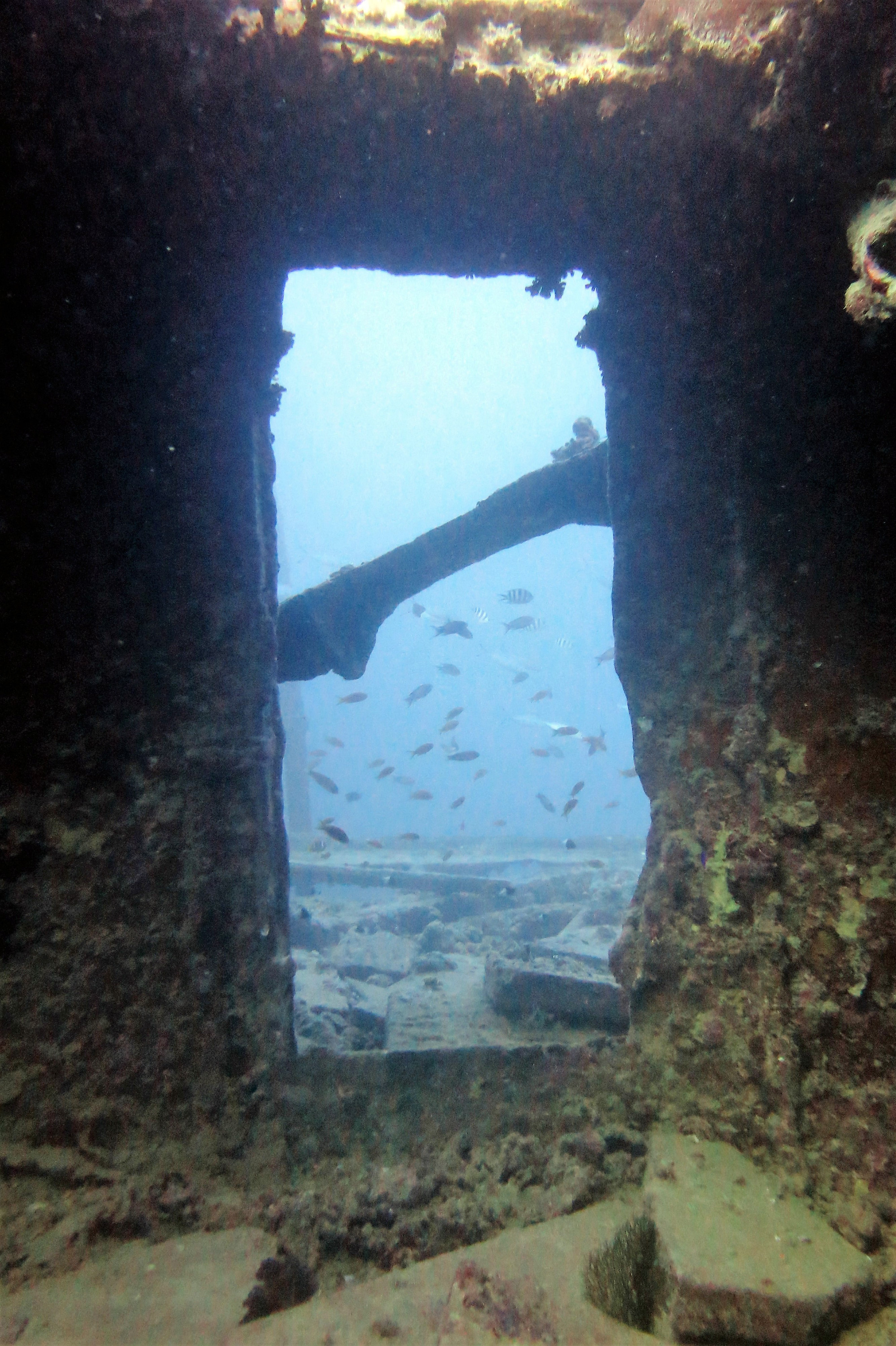 Thistlegorm Wreck, Египет