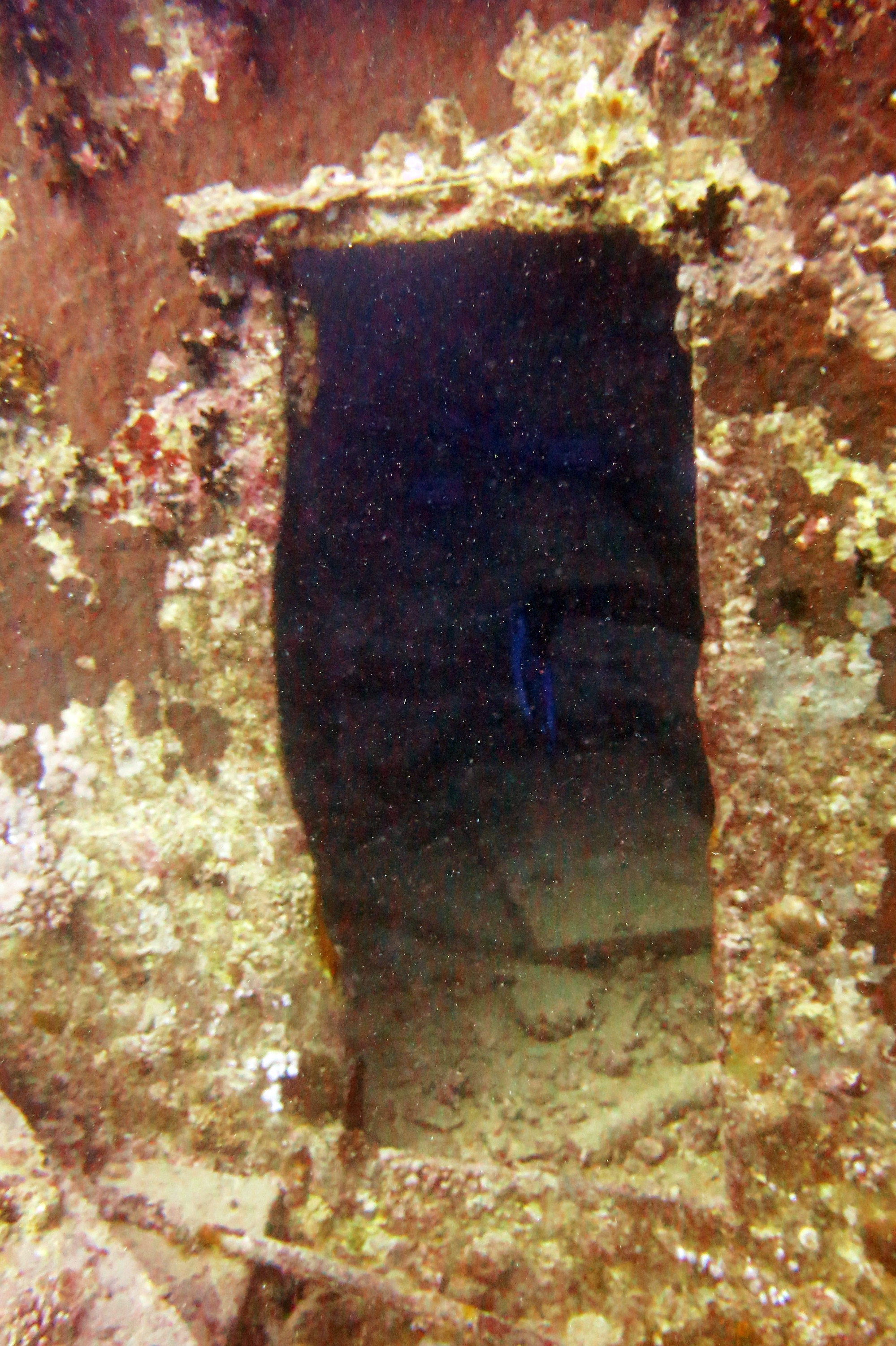 Thistlegorm Wreck, Египет