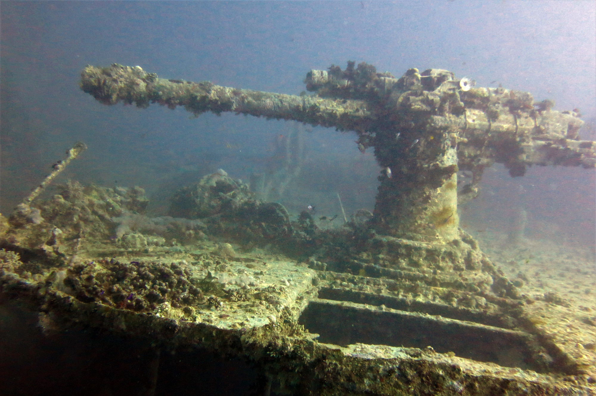 Thistlegorm Wreck, Egypt
