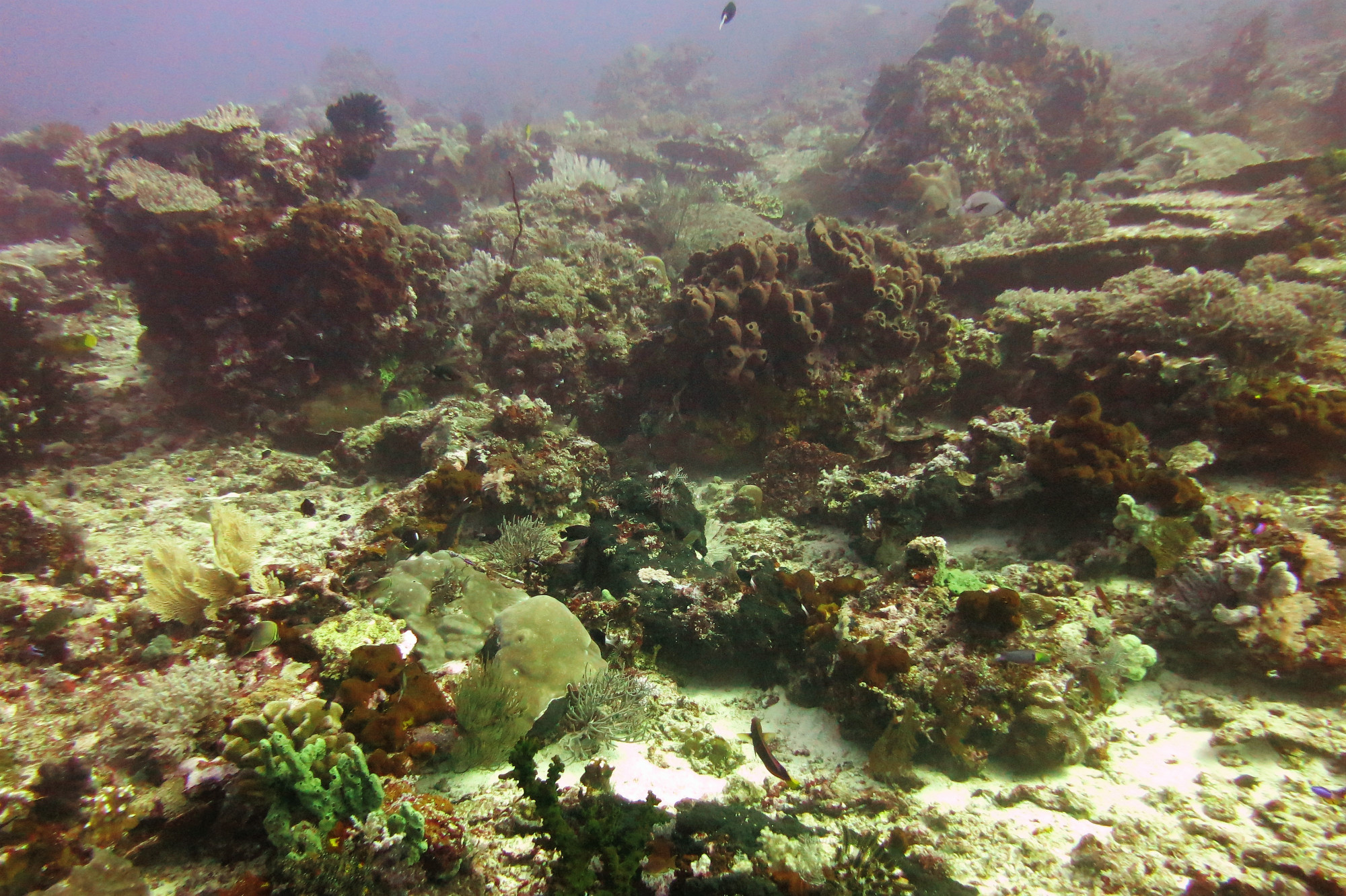 Castle Rock, Indonesia