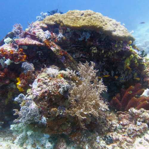 Talima Marine Sanctuary, Philippines