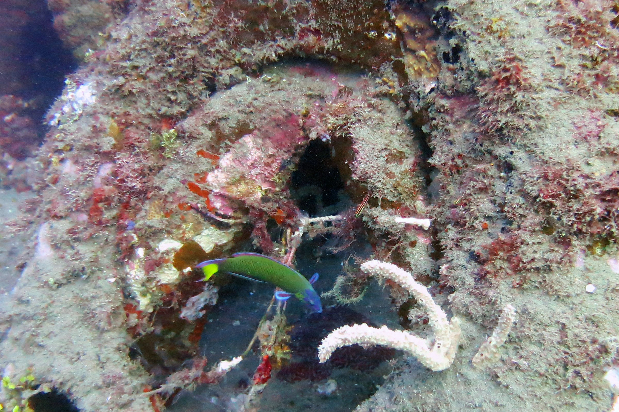 Marine Park Tires Artificial Reef Approx Location, Philippines