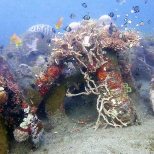 Marine Park Tires Artificial Reef Approx Location, Филиппины