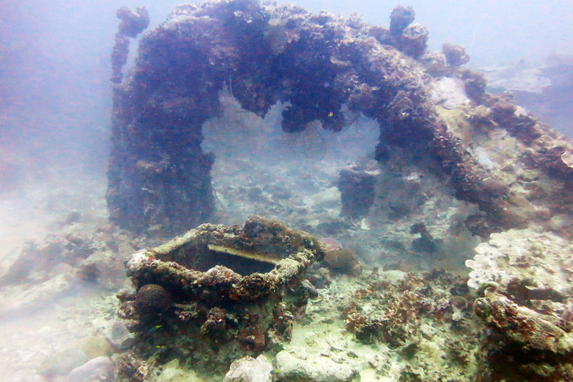 Iro Wreck, Palau