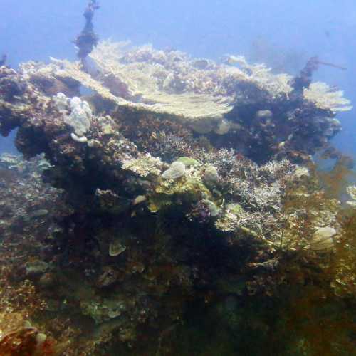 Coral coveed superstructure