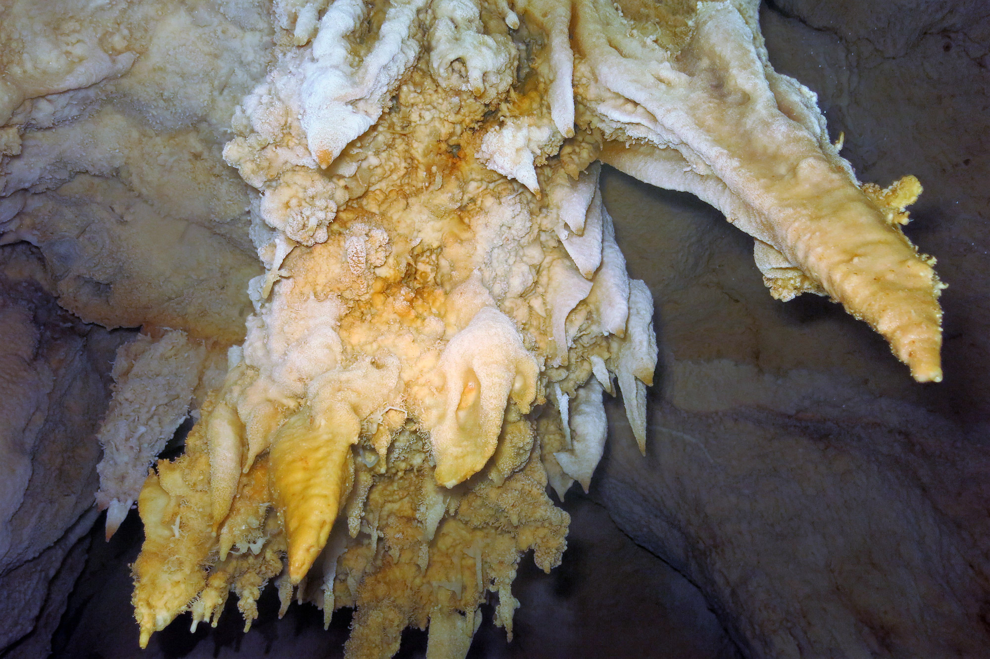 Chandelier Cave, Palau