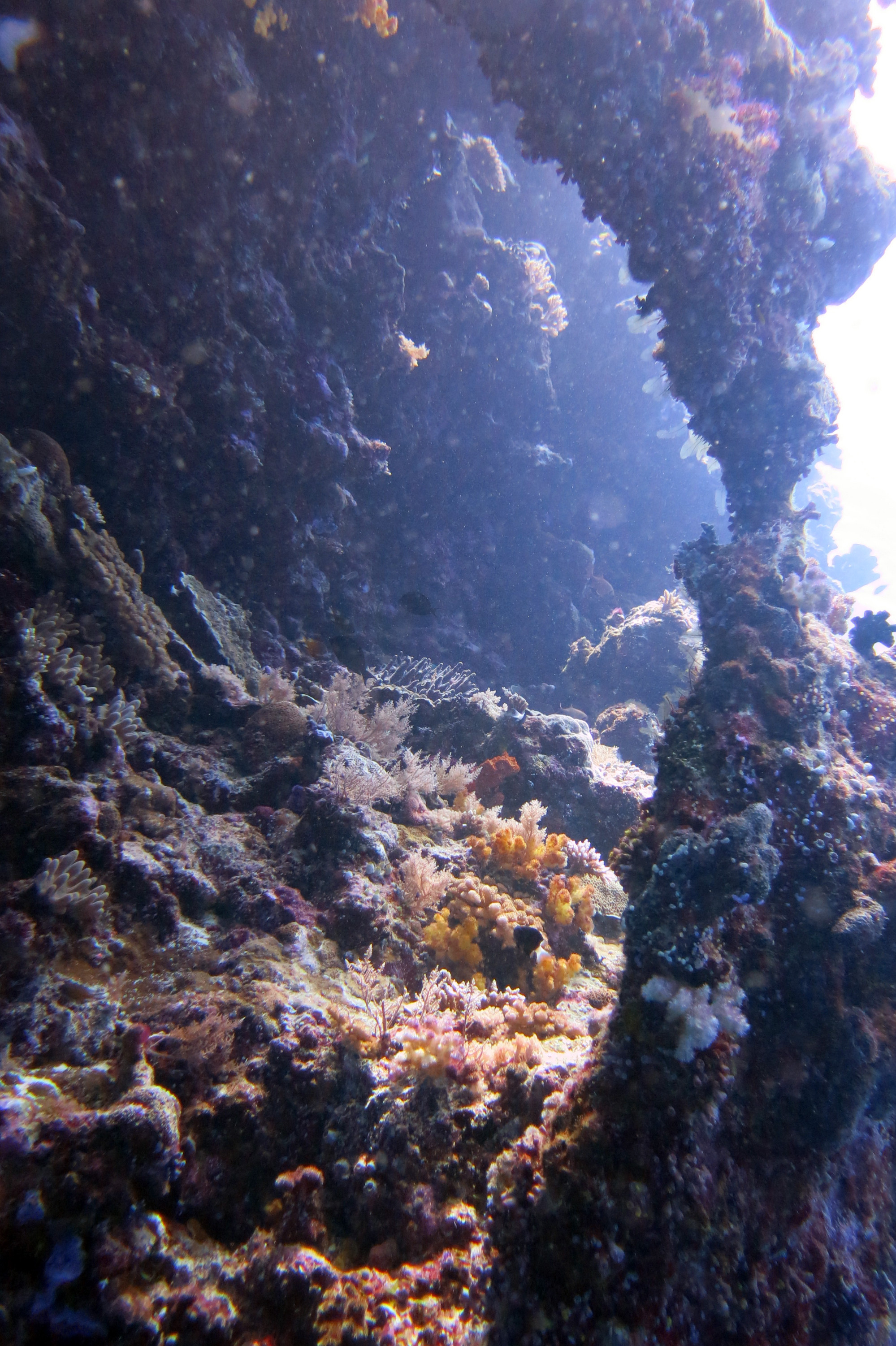 underwater Caves
