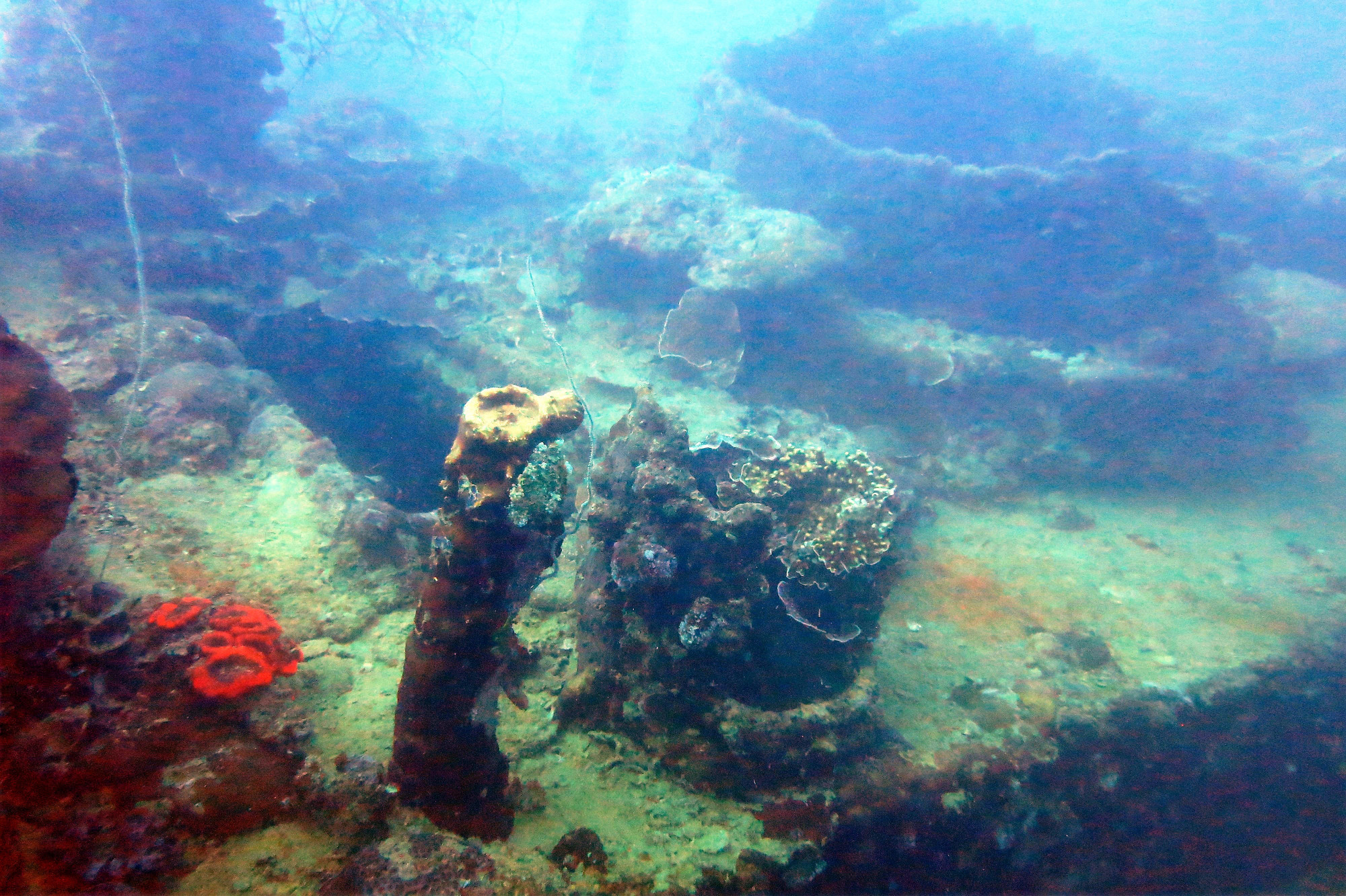 Helmet Wreck, Palau