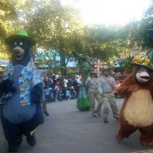 Parade Baloo