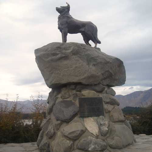 Sheepdog Memorial, New Zealand