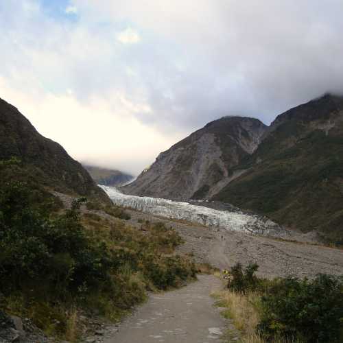 Fox Glacier , New Zealand