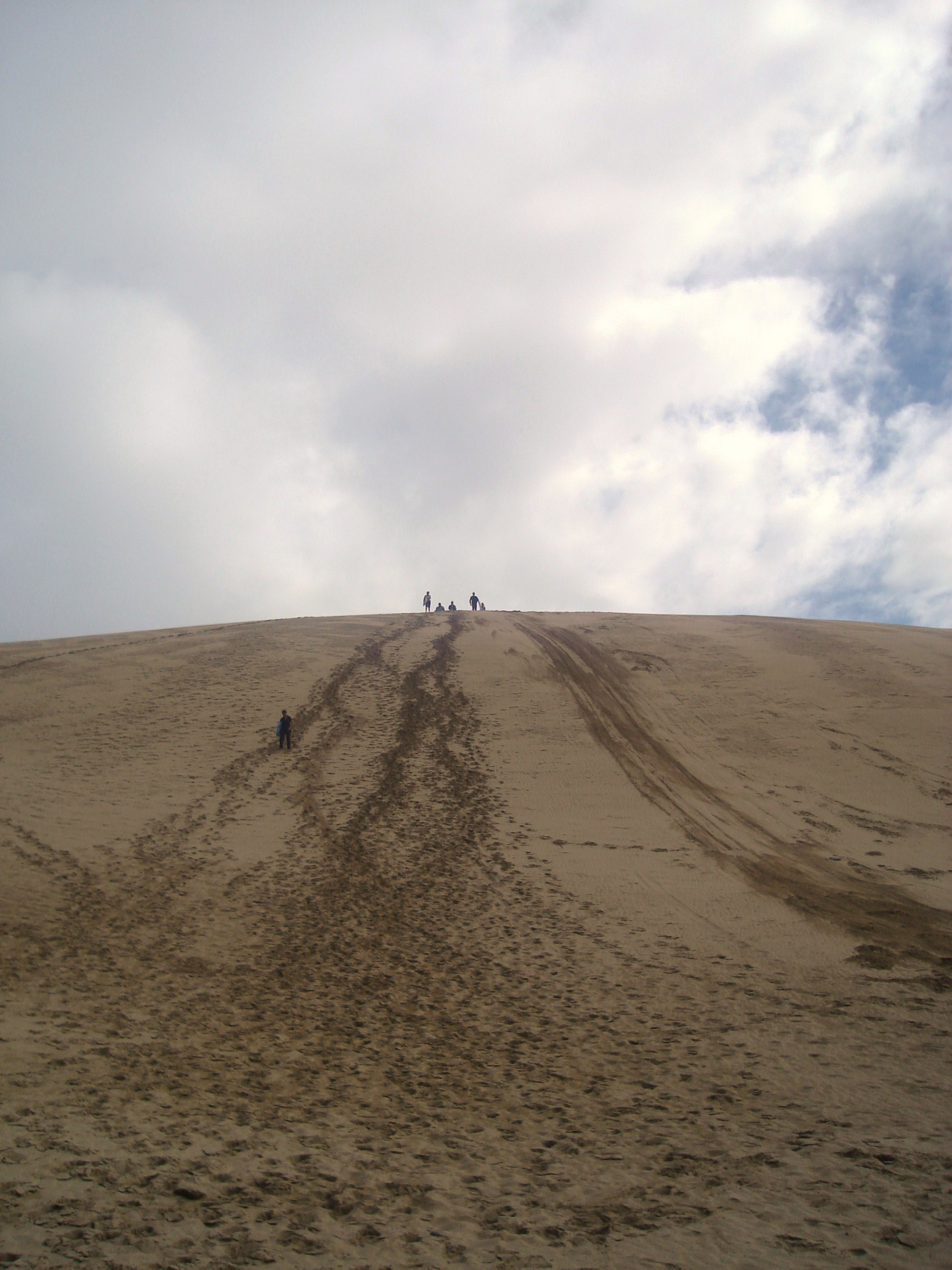 Giant Sand Dunes, New Zealand