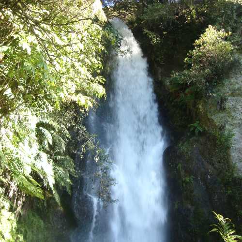 Te Wairoa Falls, Новая Зеландия