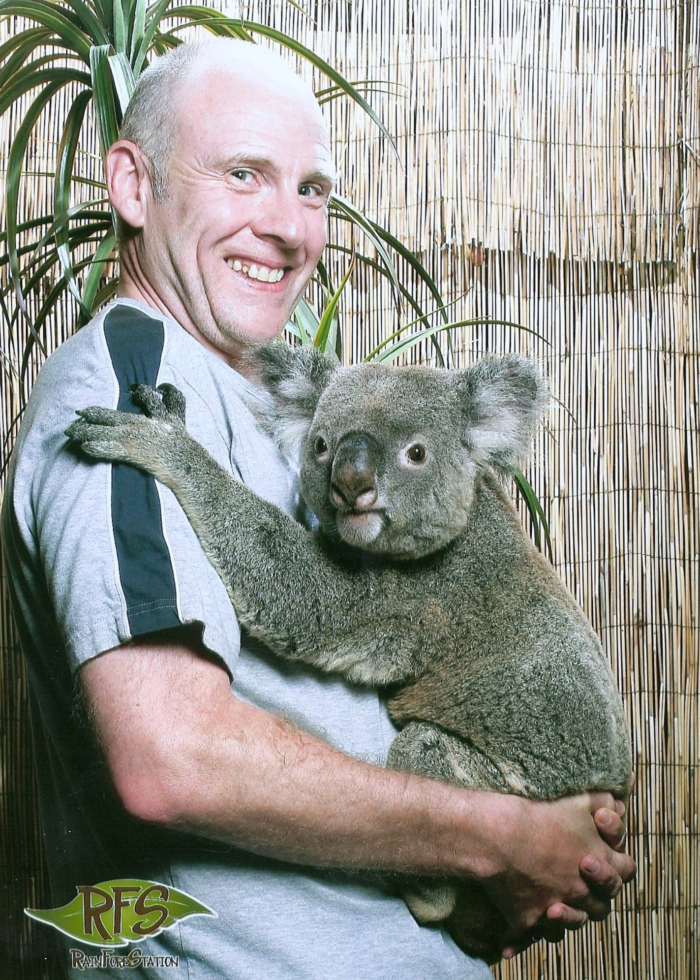 Moi Koala