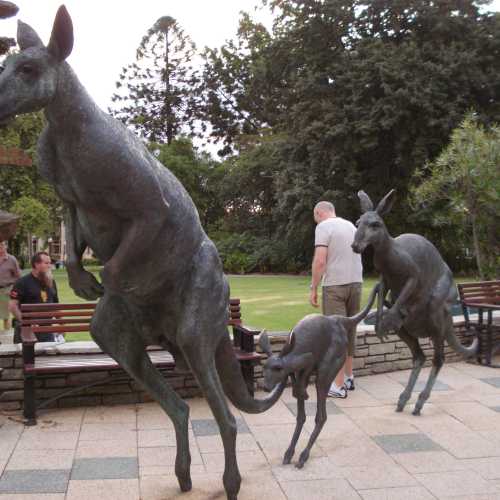 Statues Kangeroo