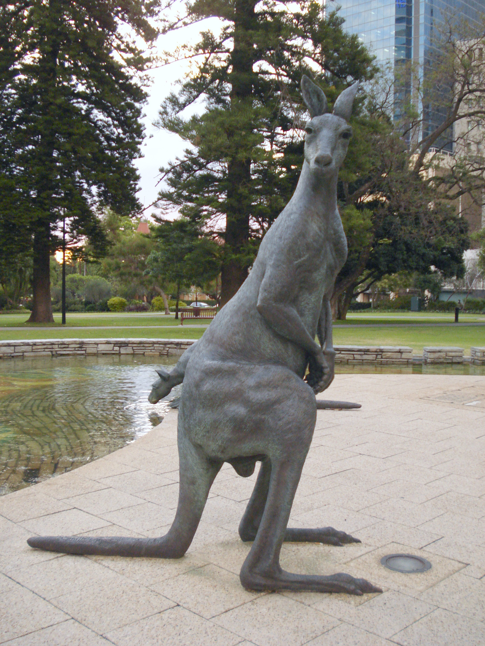 Statue Kangeroo