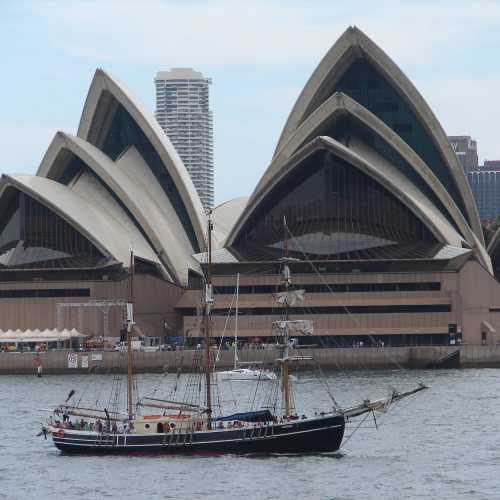 Tall Ship Harbour Cruise