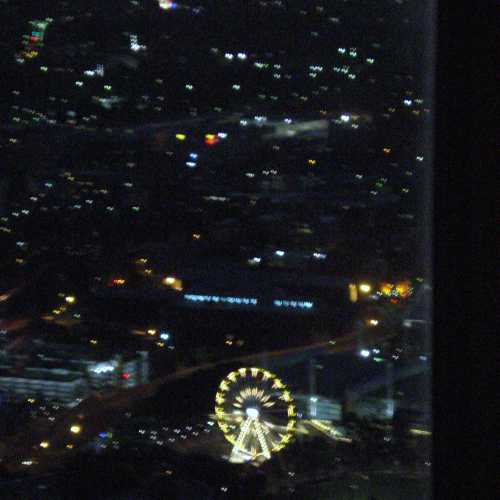 Luna Park at night viewed from tower