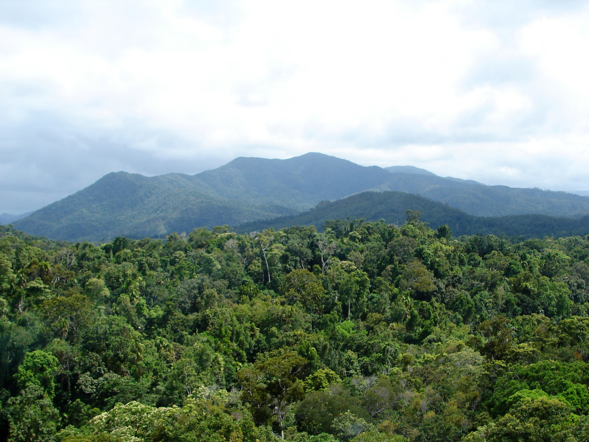 Blue Mountains National Park, Австралия