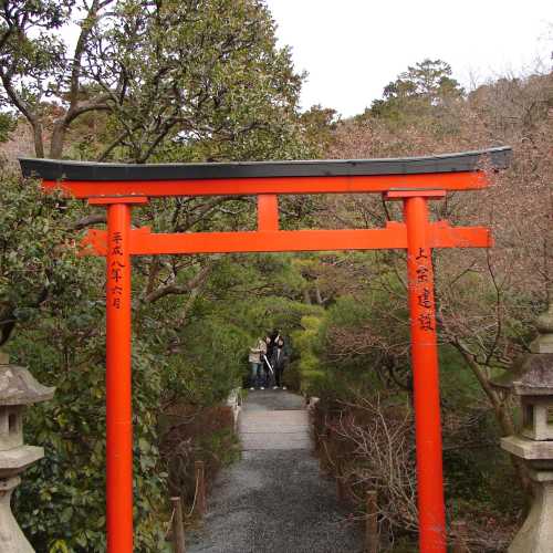 View of Torii gate