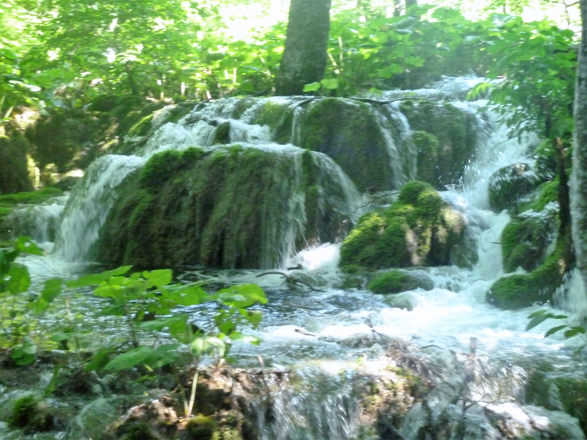 Small waterfalls with rocks and moss