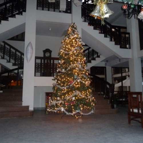 xmas in our hotel