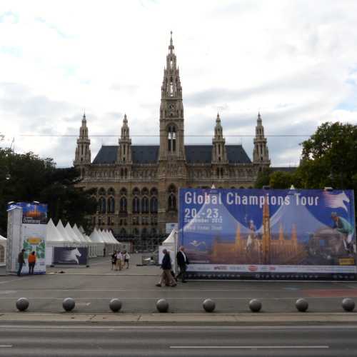 Rathausplatz and Park Preparing for Polo Championships